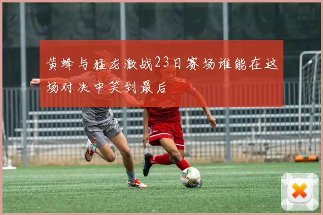黄蜂与猛龙激战23日赛场谁能在这场对决中笑到最后