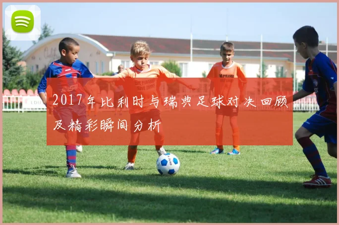 2017年比利时与瑞典足球对决回顾及精彩瞬间分析