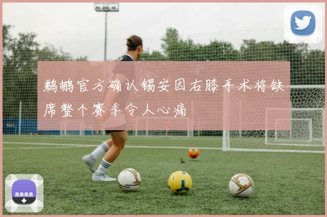 鹈鹕官方确认锡安因右膝手术将缺席整个赛季令人心痛