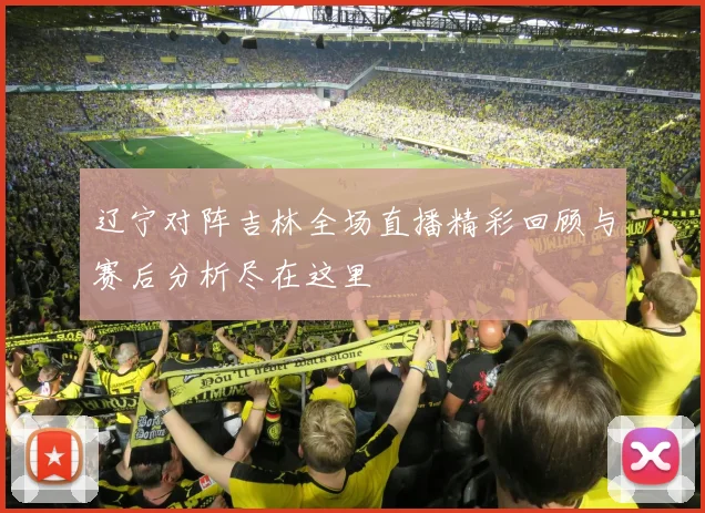 辽宁对阵吉林全场直播精彩回顾与赛后分析尽在这里