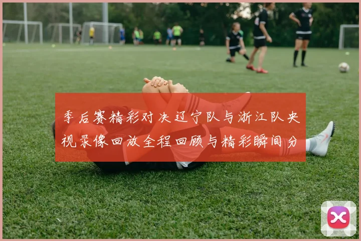 季后赛精彩对决辽宁队与浙江队央视录像回放全程回顾与精彩瞬间分析