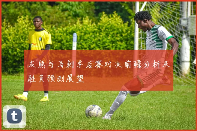 灰熊与马刺季后赛对决前瞻分析及胜负预测展望