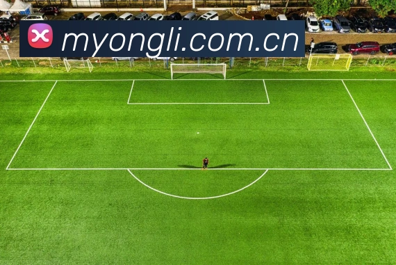 格瓦迪奥尔：年轻天才在绿茵场上的崛起与未来展望